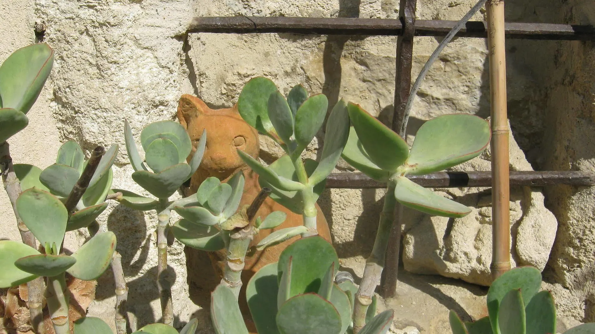 Les Jardins De La Livree Panzió Villeneuve-lès-Avignon 3*,  Franciaország